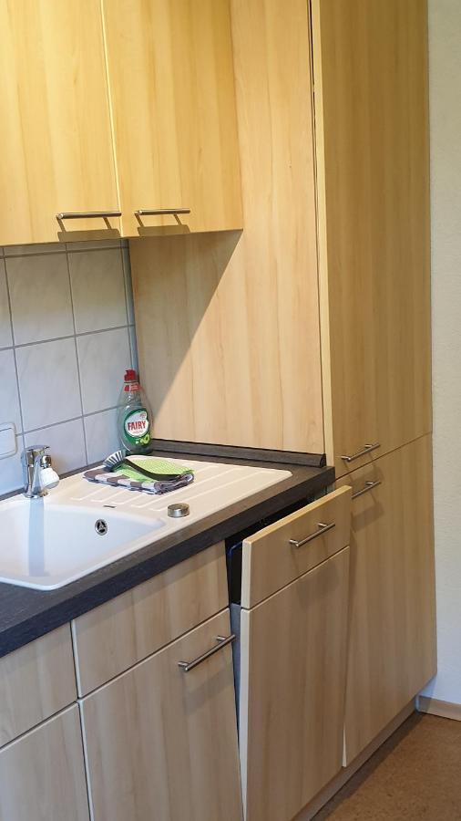 Ferienwohnung An Der Begerburg Dresden Eksteriør billede