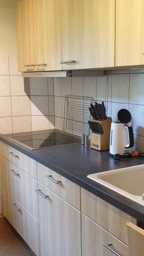 Ferienwohnung An Der Begerburg Dresden Eksteriør billede
